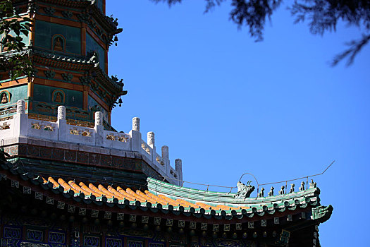 xstd 30 ngày