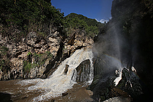 than tai du doan mien nam