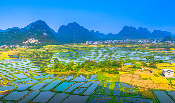 thống kê xổ số vĩnh long