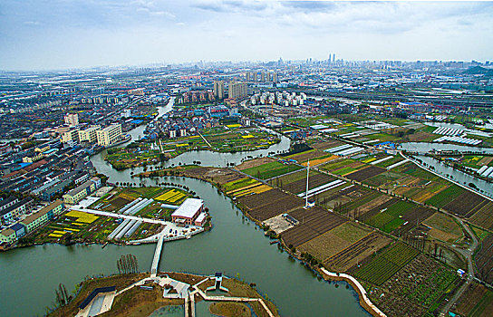 rong bach kim hai nhay