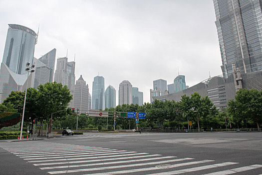 rong bach kim mien bac