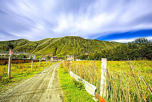 soi cau bach thu sieu chuan