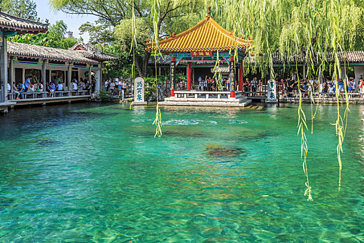 lô bạch thủ hôm nay miễn phí