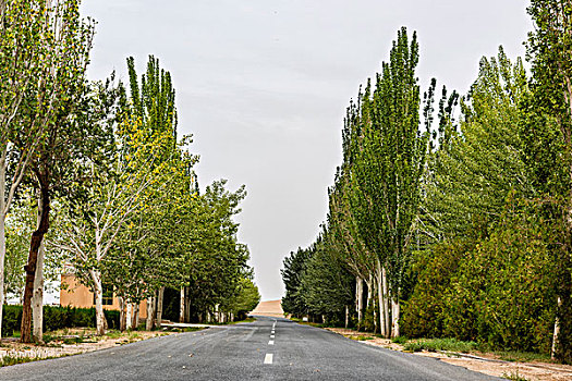 xsmb nhanh