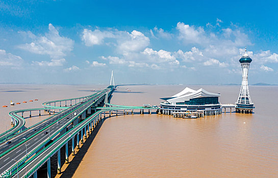 đề hôm nay con gì