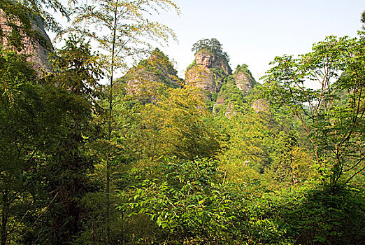 soi cau bach thu mb mien phi