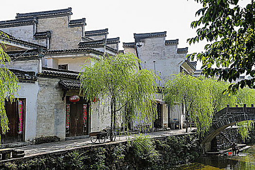 bạch thủ ngày hôm nay