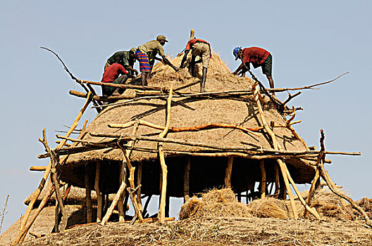 dụ đoán xsmb