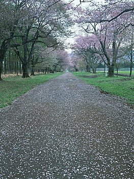 xổ số bình dương 30 ngày