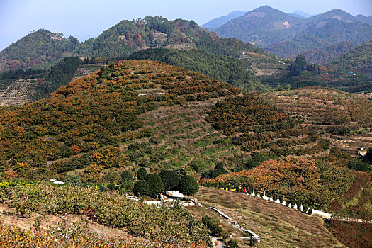 bach thu mien bac hom nay