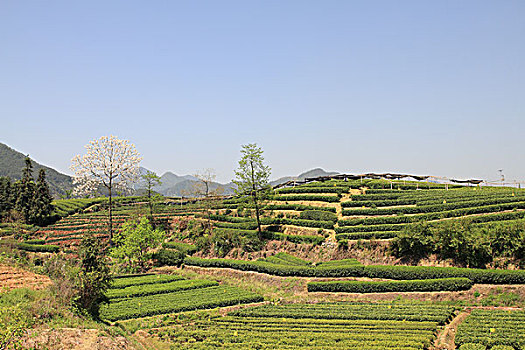 tìm hiểu về lô đề