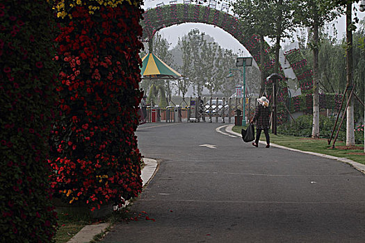 568 soi cầu