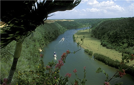 lo kep khung 3 ngay rong bach kim
