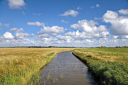 du doan 3mien